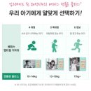 15개월남아 베피스 젠틀온플러스 기저귀 사이즈팁 실사용후기