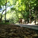 동학사 매표소 이미지