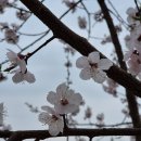 청어람학원 이미지