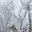 진달래골민박