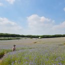 태산목장 이미지