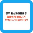 월성체육시설 이미지