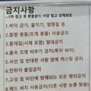 화성락실내바다낚시터 | 추워서 낚시 못 간다구? 실내낚시터가 있잖아 화성락실내바다낚시터