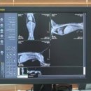 마더스동물병원 이미지