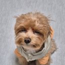 제니유치원 이미지
