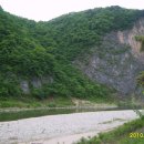 정희농박 이미지