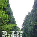 제주 여행지 추천 : 서귀포 새왓댁스테이 고객 찐 리뷰
