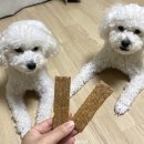 개전부리 이미지