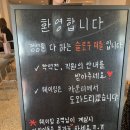 터틀빈 이미지