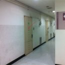 분당-161 이미지