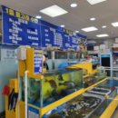 돌고래회수산 이미지