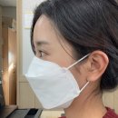 베스트방역 이미지