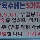 일품백송칼국수 이미지