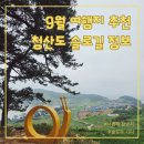 서편제 | 9월 여행지 추천 청산도 슬로길 서편제 촬영지 정보
