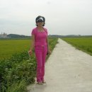 초촌초등학교 이미지