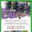 안성서운포도 이미지