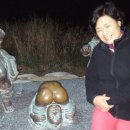 메밀꽃마을 이미지