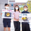 나성중학교 이미지