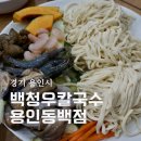 백청우칼국수 | 용인 동백 칼국수 맛집 백청우칼국수 용인동백점 해물칼국수 후기