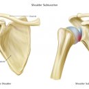 피지오플레이스 피플운동센터 이미지