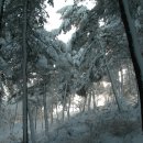 모산봉