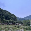 버드나무캠핑장 이미지