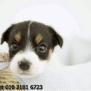 도봉-도봉-서울도봉-2181 이미지