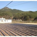 부자되는민박 이미지