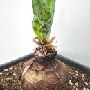 인경농장 이미지