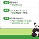장미로30번길 | 에버랜드 정기권(연간권) 2년 후기