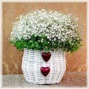 행복한날 이미지