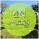 안성 수목장 예약 방법과 계약 절차, 신분증만 있으면 진행 가능한 이유