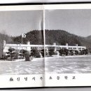 신녕서부초등학교 이미지