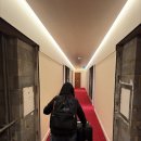 용창정비 | [Porto] Day.1 (포르투 3대 에그타르트 후기, Republica157, Benamor, Claus Porto, 루이스다리, 세하두...