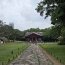 정현은행나무행정사 | 선릉과 정릉 방문후기 / 유네스코 세계문화유산 선정릉 산책 입장료 관람시간 주차 숲해설 정보