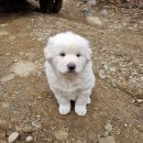 (주)한백산 이미지