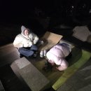 최영장군 위령굿 | 김해 점집 매화당 - 금정산 당산 기도, 홍성 최영장군 사당 기도