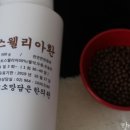 대남물산 네이버블로그