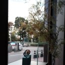 크리에이터스호텔 | 바이버 쇼룸 잠실 롤렉스 데이저스트 여자 시계 압도적 존재감