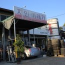 자인미래카 이미지