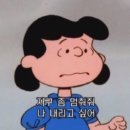 세화다퍼주는횟집 이미지