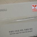 애향유정란