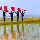 원화농장 이미지