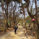 강화소방서 이미지