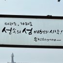 푸른마을차오름태권도장 | [제주] 제주도 2박 3일 커플 봄 여행 코스 및 경비 (가파도, 녹산로, 용눈이오름, 별방진) - 2일차