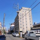 순천성남초등학교 이미지