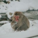 율암온천 이미지