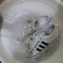 유행세탁 이미지