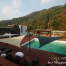 선영목장 이미지