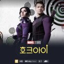 영앤리치선배 이미지